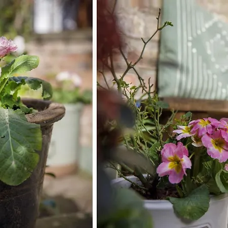 The Square Garden In For Up To 4 Guests York