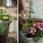 The Square Garden In For Up To 4 Guests 요크