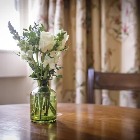 公寓 The Square Garden In For Up To 4 Guests