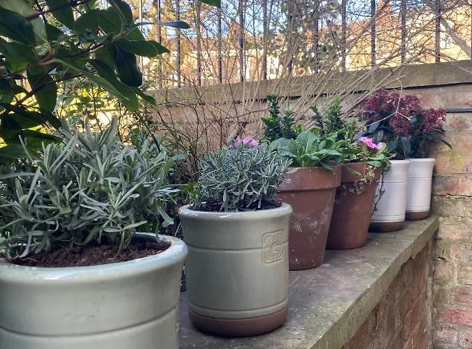 The Square Garden In For Up To 4 Guests * 约克
